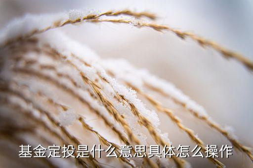 定投投資介紹,定投中斷投資會(huì)怎么樣?