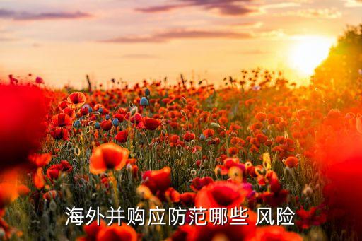 中國(guó)企業(yè)走出去風(fēng)險(xiǎn),企業(yè)走出去面臨的風(fēng)險(xiǎn)