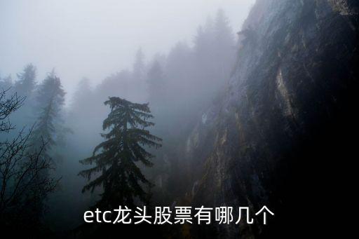 etc龍頭股票有哪幾個(gè)