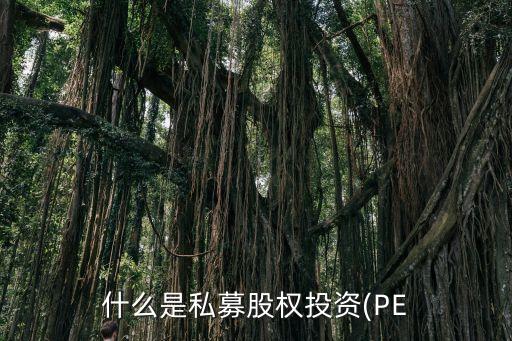 上市公司參股pe,華為唯一參股的上市公司