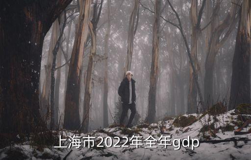  上海市2022年全年gdp