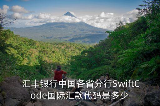  匯豐銀行中國(guó)各省分行SwiftCode國(guó)際匯款代碼是多少