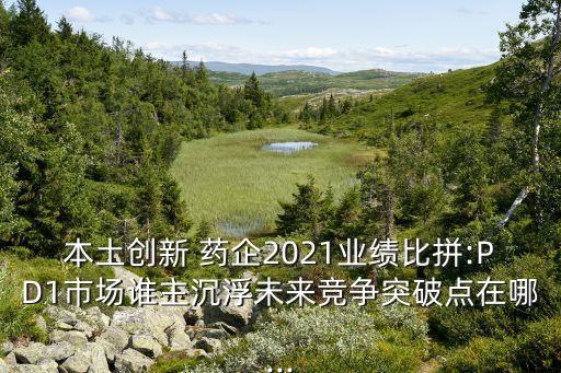 跨國(guó)藥企中國(guó)銷售額,2022藥企銷售額