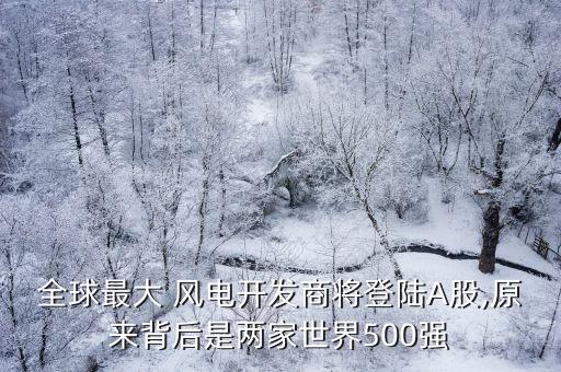 全球最大 風(fēng)電開發(fā)商將登陸A股,原來背后是兩家世界500強