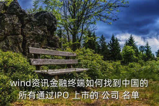 wind資訊金融終端如何找到中國的所有通過IPO 上市的 公司 名單