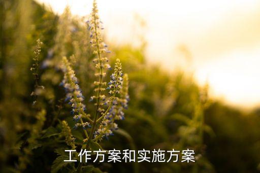 工作方案和實施方案