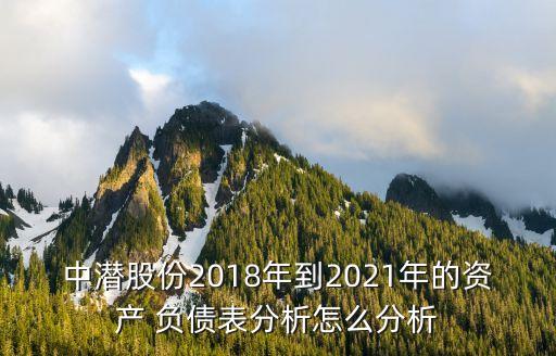 中潛股份2018年到2021年的資產(chǎn) 負債表分析怎么分析