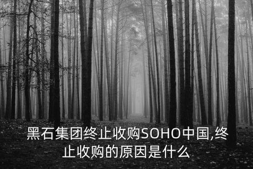  黑石集團(tuán)終止收購SOHO中國,終止收購的原因是什么