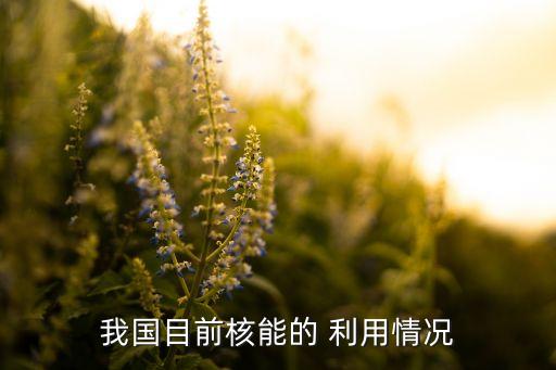 我國(guó)目前核能的 利用情況