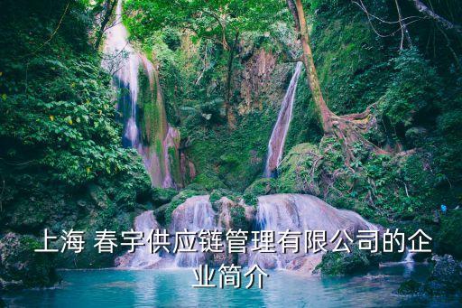  上海 春宇供應(yīng)鏈管理有限公司的企業(yè)簡(jiǎn)介