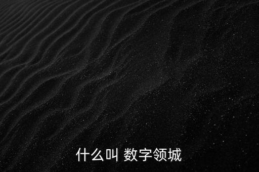 什么叫 數字領城