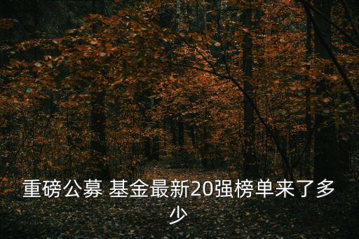 400億以上的基金公司,18億可以成立基金公司嗎