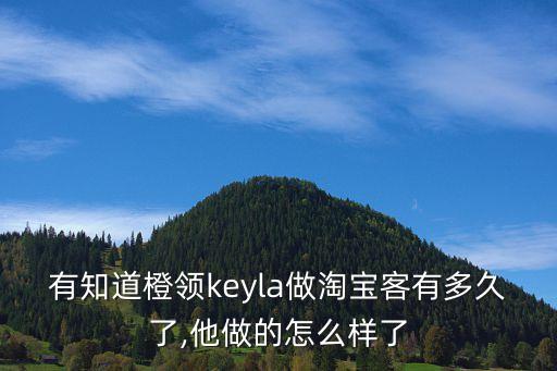 有知道橙領(lǐng)keyla做淘寶客有多久了,他做的怎么樣了