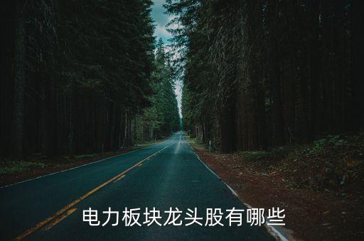  電力板塊龍頭股有哪些