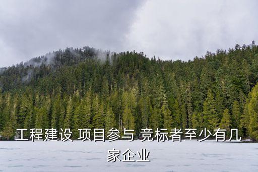 工程建設(shè) 項(xiàng)目參與 競標(biāo)者至少有幾家企業(yè)