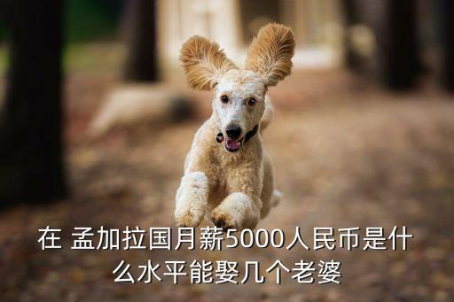 在 孟加拉國(guó)月薪5000人民幣是什么水平能娶幾個(gè)老婆