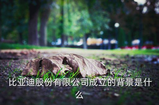  比亞迪股份有限公司成立的背景是什么