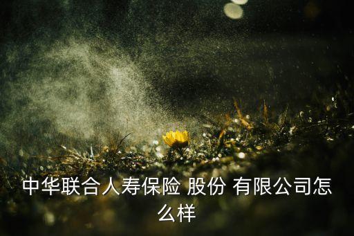 中華聯(lián)合人壽保險(xiǎn) 股份 有限公司怎么樣