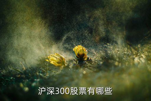 滬深300股票有哪些