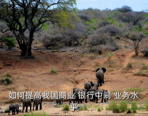 如何提高我國商業(yè) 銀行中間 業(yè)務(wù)水平