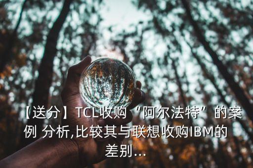 【送分】TCL收購“阿爾法特”的案例 分析,比較其與聯(lián)想收購IBM的差別...