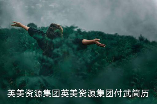 英美資源集團(tuán)英美資源集團(tuán)付武簡(jiǎn)歷