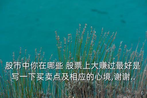 股市中你在哪些 股票上大賺過最好是寫一下買賣點及相應的心境,謝謝...