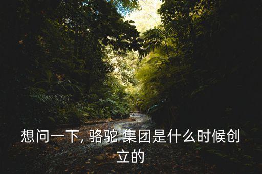 想問(wèn)一下, 駱駝 集團(tuán)是什么時(shí)候創(chuàng)立的