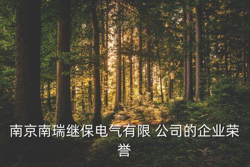 南京南瑞繼保電氣有限 公司的企業(yè)榮譽(yù)