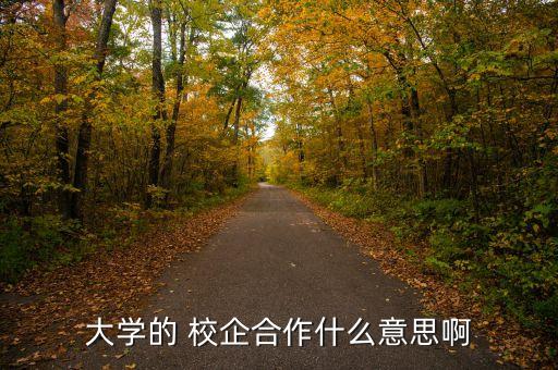 大學(xué)的 校企合作什么意思啊