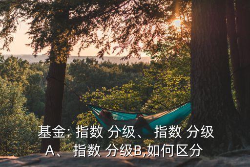  基金: 指數(shù) 分級、 指數(shù) 分級A、 指數(shù) 分級B,如何區(qū)分