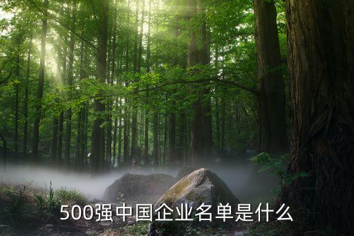 500強(qiáng)中國企業(yè)名單是什么