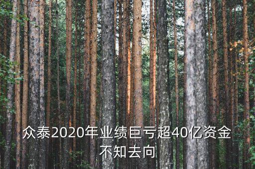 眾泰2020年業(yè)績(jī)巨虧超40億資金不知去向