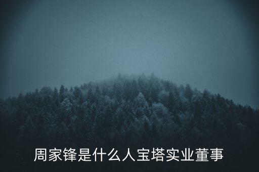 首鋼控股有限責(zé)任公司總裁,暖流控股有限責(zé)任公司總裁