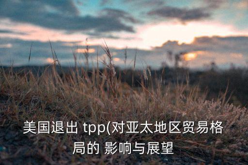 tpp中國(guó)經(jīng)濟(jì)與進(jìn)出口易的影響