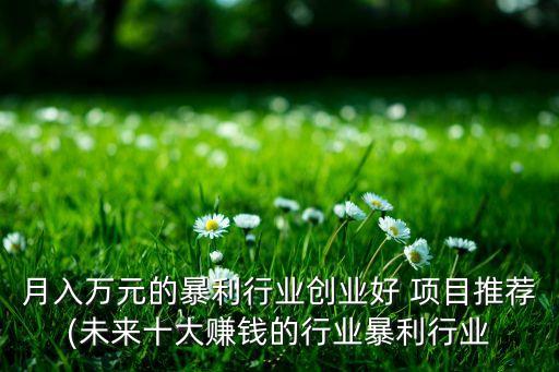 月入萬(wàn)元的暴利行業(yè)創(chuàng)業(yè)好 項(xiàng)目推薦(未來(lái)十大賺錢的行業(yè)暴利行業(yè)