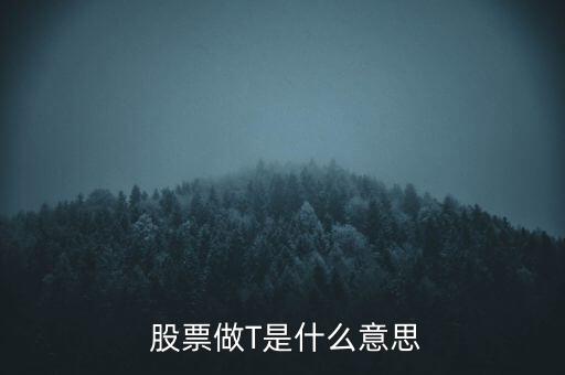  股票做T是什么意思