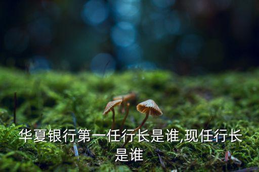  華夏銀行第一任行長(zhǎng)是誰(shuí),現(xiàn)任行長(zhǎng)是誰(shuí)