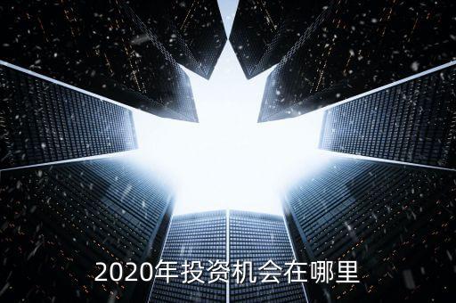 2020年投資機會在哪里