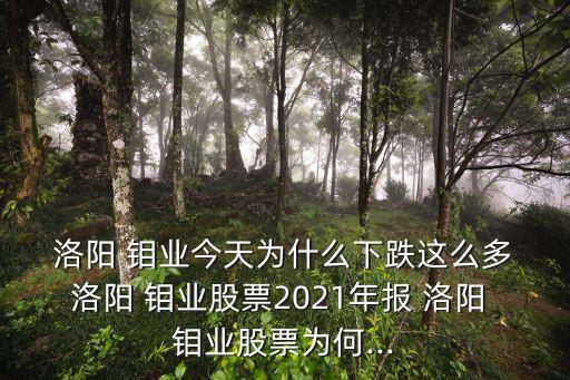  洛陽 鉬業(yè)今天為什么下跌這么多 洛陽 鉬業(yè)股票2021年報 洛陽 鉬業(yè)股票為何...