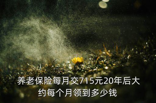  養(yǎng)老保險每月交715元20年后大約每個月領(lǐng)到多少錢