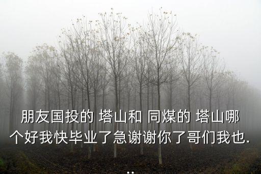 朋友國投的 塔山和 同煤的 塔山哪個好我快畢業(yè)了急謝謝你了哥們我也...