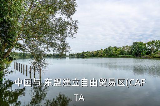 中國與 東盟建立自由貿易區(qū)(CAFTA