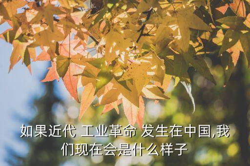 如果近代 工業(yè)革命 發(fā)生在中國,我們現(xiàn)在會(huì)是什么樣子