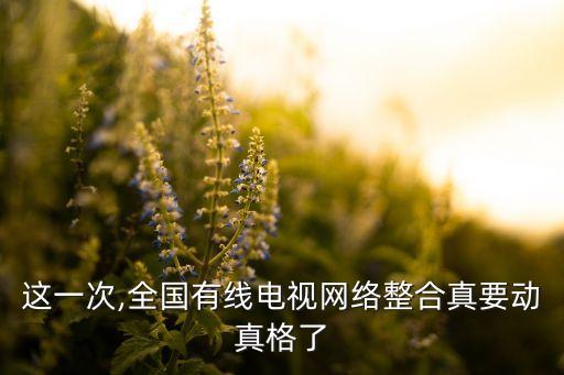 這一次,全國(guó)有線電視網(wǎng)絡(luò)整合真要?jiǎng)诱娓窳? class=