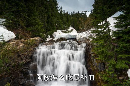  阿膠怎么吃最補(bǔ)血