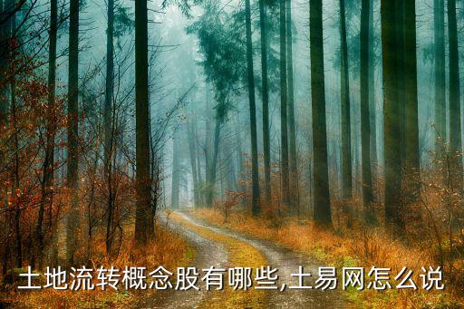 土地流轉(zhuǎn)概念股有哪些,土易網(wǎng)怎么說(shuō)