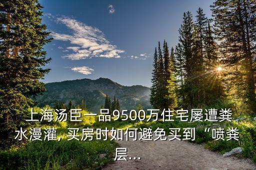  上海湯臣一品9500萬住宅屢遭糞水漫灌, 買房時如何避免買到“噴糞層...