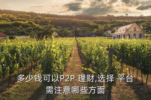 多少錢可以P2P 理財(cái),選擇 平臺(tái)需注意哪些方面