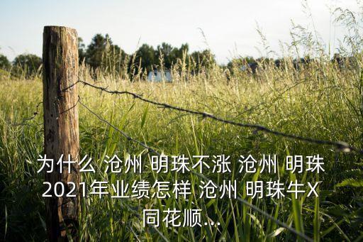 為什么 滄州 明珠不漲 滄州 明珠2021年業(yè)績怎樣 滄州 明珠牛X同花順...